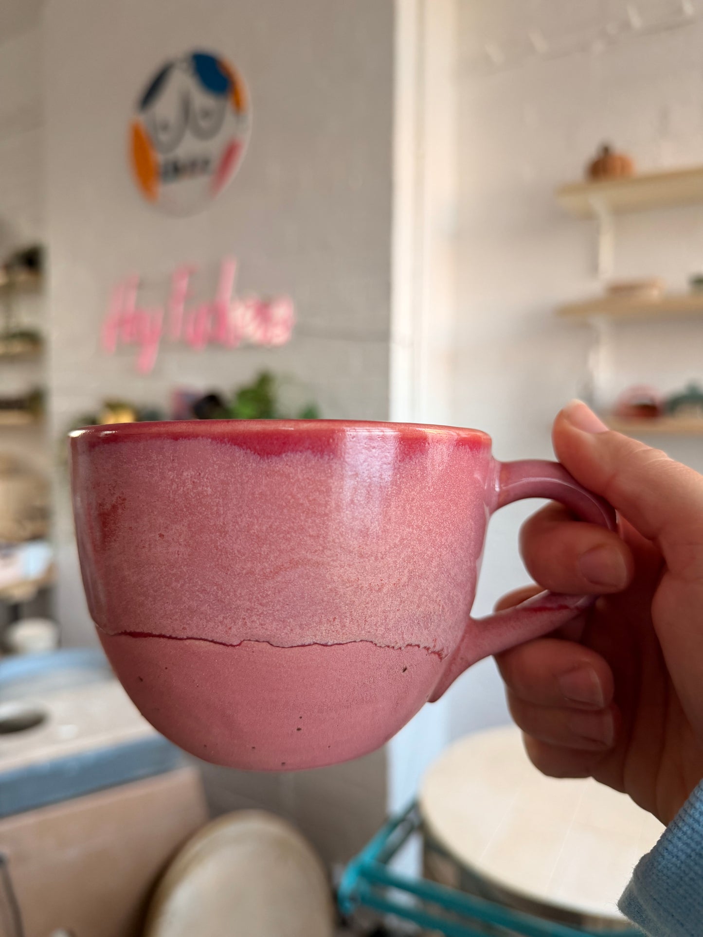 Handmade Sweary Jumbo Janice Mug - SEAGULLS ARE CUNTS