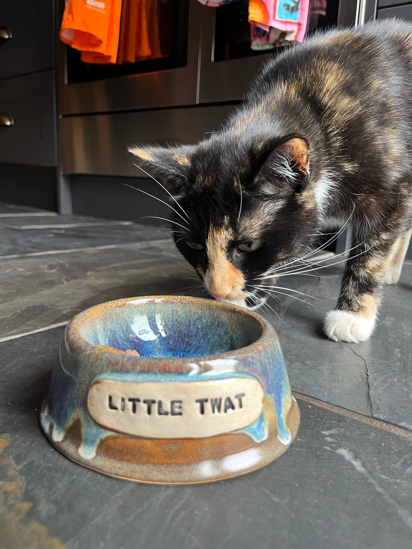 MADE TO ORDER Pet Bowls (10-12 weeks)